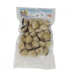 FROZEN COOKED WHOLE WHITE CLAM SHELL