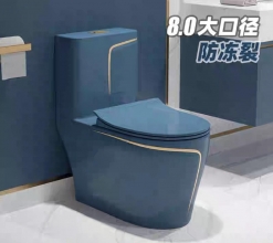 KIMIC 2872DLG ONE-PIECE TOILET PP COVERS-S TRAP 300MM ROUGHING-IN 690X390X751